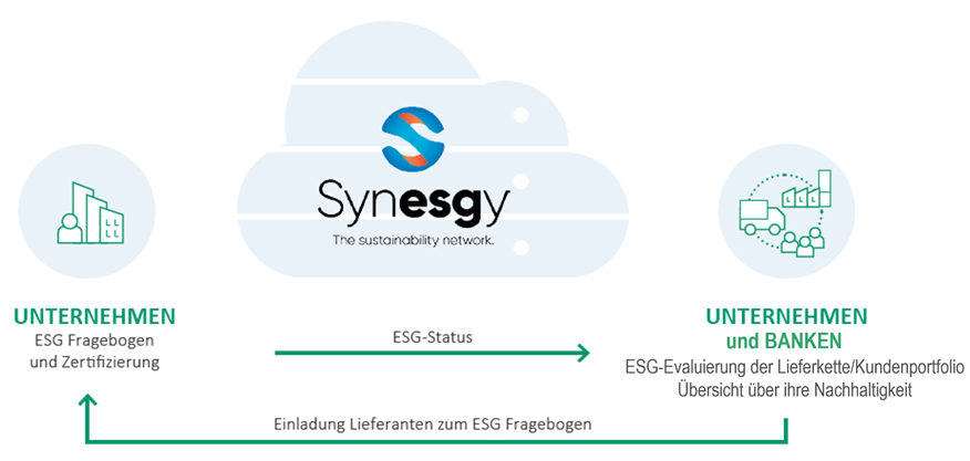 ESG Lieferkette - Synesgy