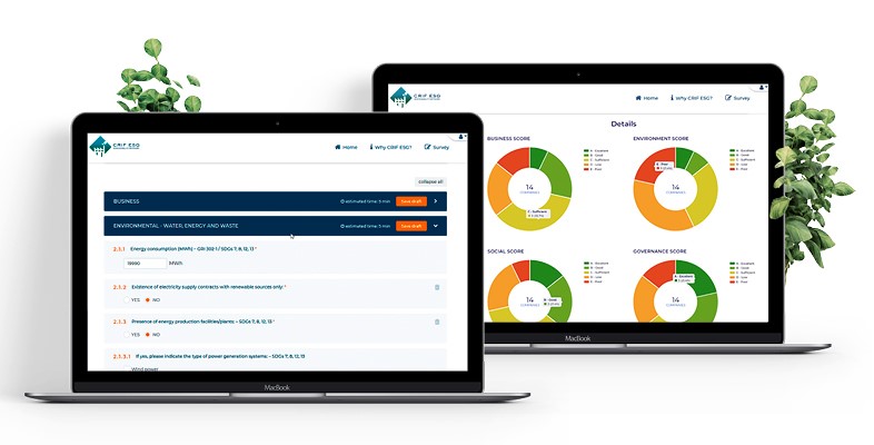 Esg Fragebogen Und Dashboard